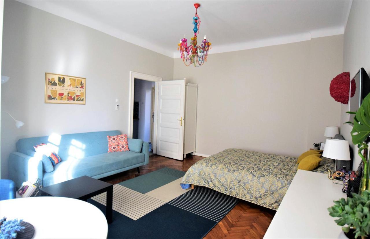 Andrea Apartments 克卢日-纳波卡 外观 照片