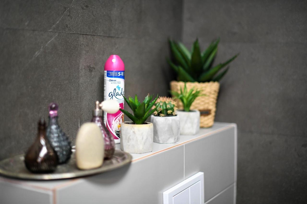 Andrea Apartments 克卢日-纳波卡 外观 照片